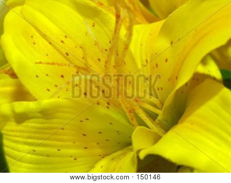 Fleurs - Lillium jaune artificiel