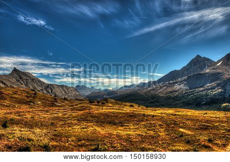 Alpine Views