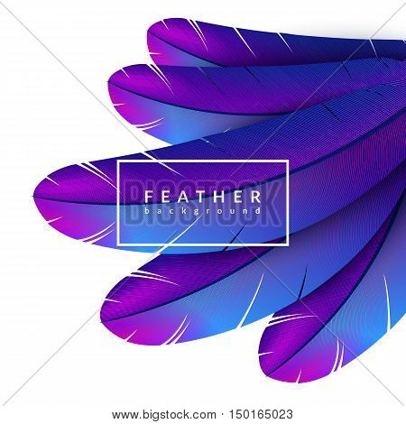Colorful feather background. Abstract dynamic composition. Eps10 vector feather illustration.