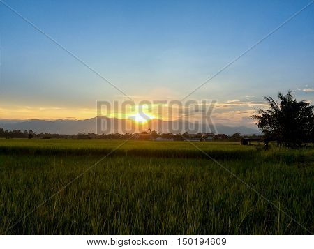 view sun sunset tree field Mountain outdoor nature light sky orange blue
