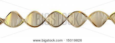Golden DNA