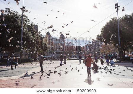 Barcelona Spain - January 11 2016: People feeding pigeons in Catalonia Square (Plaza de Cataluna). It is a large square in central Barcelona.