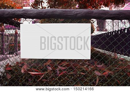 white board in nature on background color red