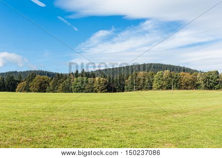 Meadow and forests with blue sky in spring time