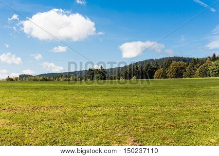 Meadow and forests with blue sky in spring time