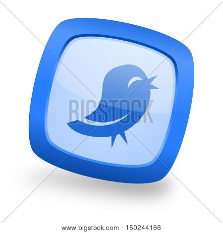 twitter blue glossy web design icon