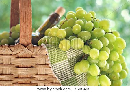 Uvas blancas en cascada de una canasta con botellas de vino.  Fondo es follaje iluminado por el sol de verano en modo