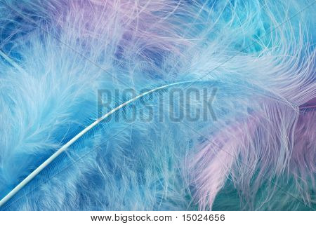 Weiche, Pastell farbigen Federn.  Ideal als Hintergrund.