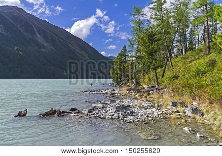 Kucherla lake. Altai Mountains Russia. Sunny summer day.