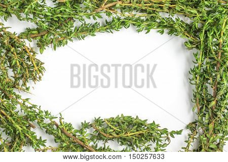 Bunch of Fresh Thyme Frame isolated in white background