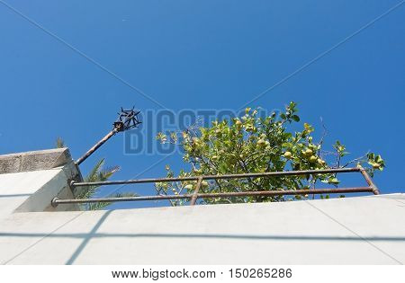 Street Lamp And Lemons