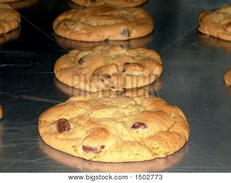 Chocolate Chip Cookies