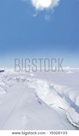 Summer in Antarctica