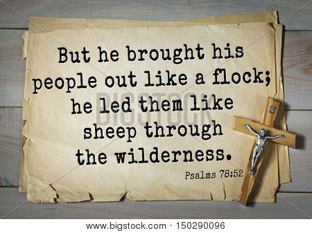 TOP-1000.  Bible verses from Psalms.But he brought his people out like a flock; he led them like sheep through the wilderness. 