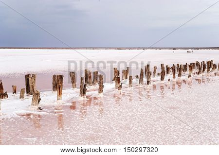 Salt Lake with pink water. The remains of wooden piles protrude from the bottom.