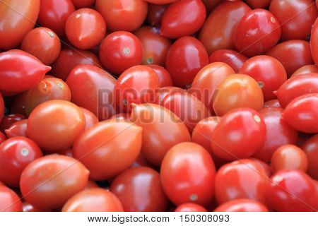Fresh Tomatoes Texture
