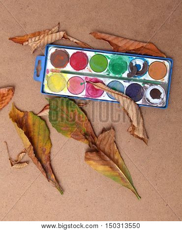 picture of a autumn leaves in studio. seasonal concept