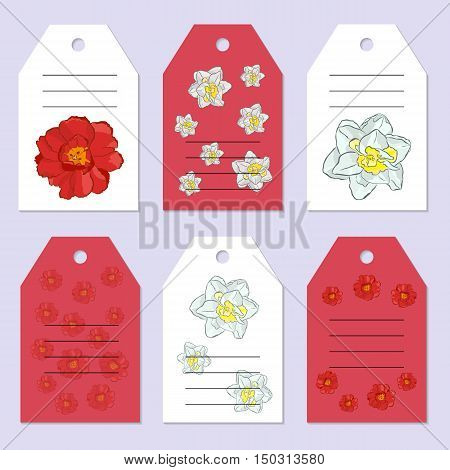 Set of gift tags. Stock vector set. Hand drawing tulip and narcissus. Place for an inscription. You can place your text in the center. Greeting invitation design cards.