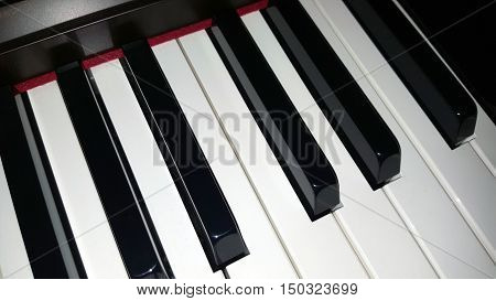 Close-Up of Black and White Piano Keys