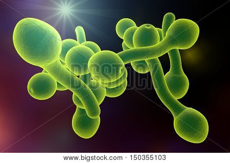 3D illustration of fungi Candida albicans which cause candidiasis, thrush, on colorful background. Pathological fungus or yeast