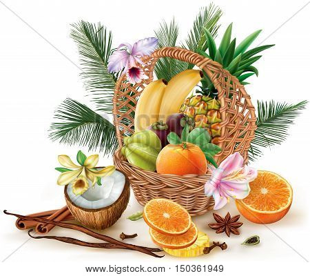 Basket with tropical fruits and spices. Vector illustration