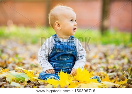 Happy happy baby sitting in the park with yellow leaves in autumn. In autumn park kid sitting in yellow leaves. Cheerful baby sitting in the park. Warm autumn day in the park.