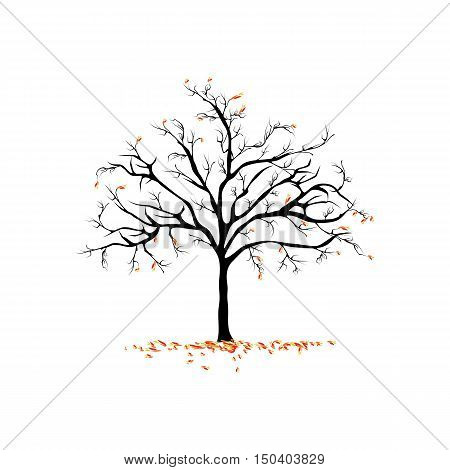 A dry autumn tree with fallen leaves