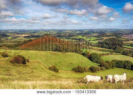 Dorset Countryside