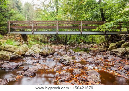 wooden bridge in the forest near Brackvenn in Belgium