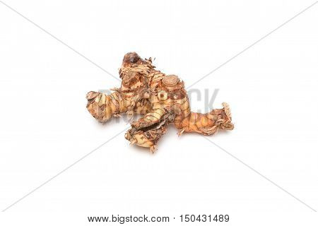 Galanga Greater Galangal False Galangal isolated on the white background. Scientific name Alpinia galanga