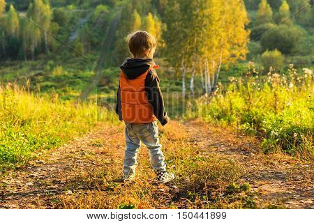 The boy standing on the road at the edge of the forest sunny autumn day Yellow leaves underfoot.