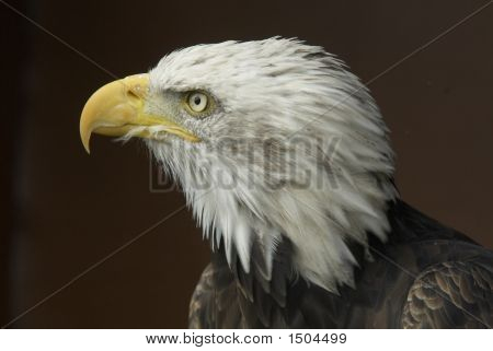 _Dsc0057