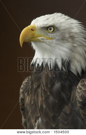 _Dsc0065