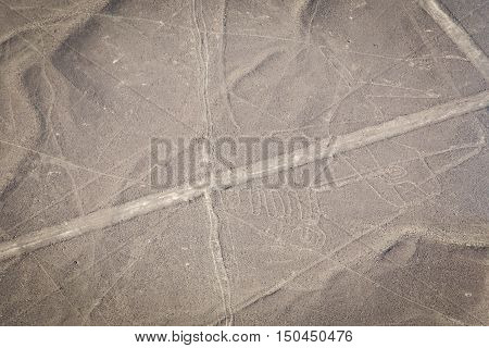 World famous Nazca lines from the Nazca overflight
