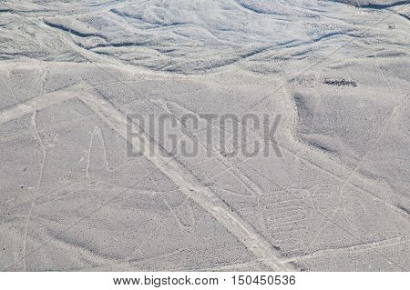 World famous Nazca lines from the Nazca overflight