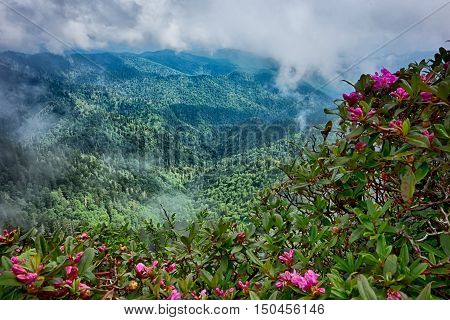 Scenes Along Appalachian Trail In Great Smoky Mountains