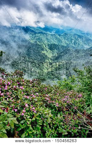 Scenes Along Appalachian Trail In Great Smoky Mountains