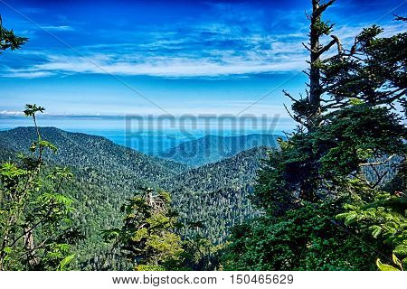 Scenes Along Appalachian Trail In Great Smoky Mountains