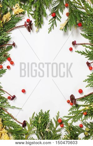 Evergreen fir tree decoration for christmas card isolated new year pattern copyspace white. Arrangement with succulents and red berries.