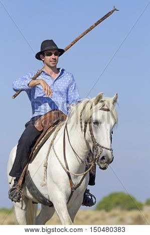 herdsman riding on his camargue for selecting the livestocks