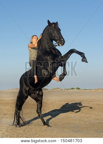 horse woman and rearing stallion on the beach