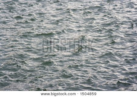 Sea Land