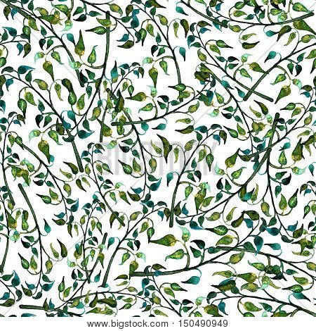 Seamless foliate watercolor ornament on white background