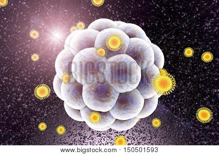 Zika viruses infecting human embryo, 3D illustration. Viruses which cause Zika fever found in Brazil and other tropical countries. Zika fever in pregnant women leads to microcephaly in fetus