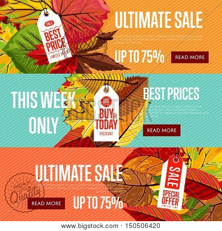 Autumn seasonal sale website templates, vector illustration. Ultimate sale this week only. Best price posters on color background with autumn leaves. White price tag with red text. Autumnal discount