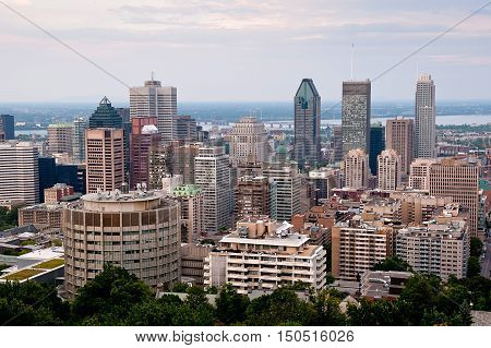 Montreal highrise - view from Mount Royal at daytime
