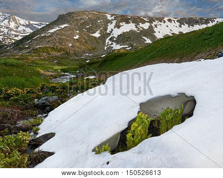 Beautiful Summer Landscape, Altai Mountains Russia.