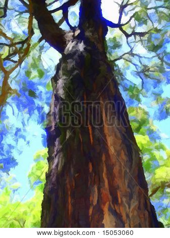 Bushfire Survivor