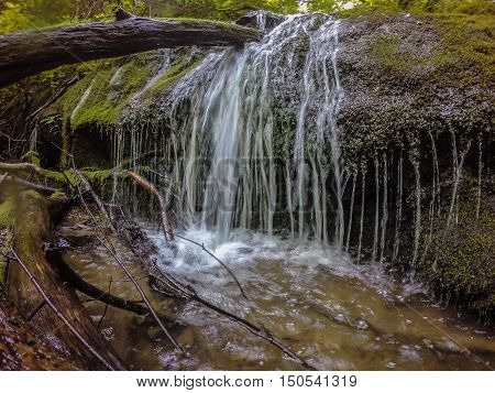 Scenes Along Appalachian Trail In Smoky Mountains North Carolina