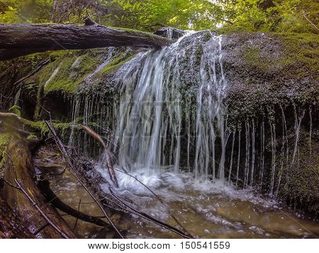 Scenes Along Appalachian Trail In Smoky Mountains North Carolina